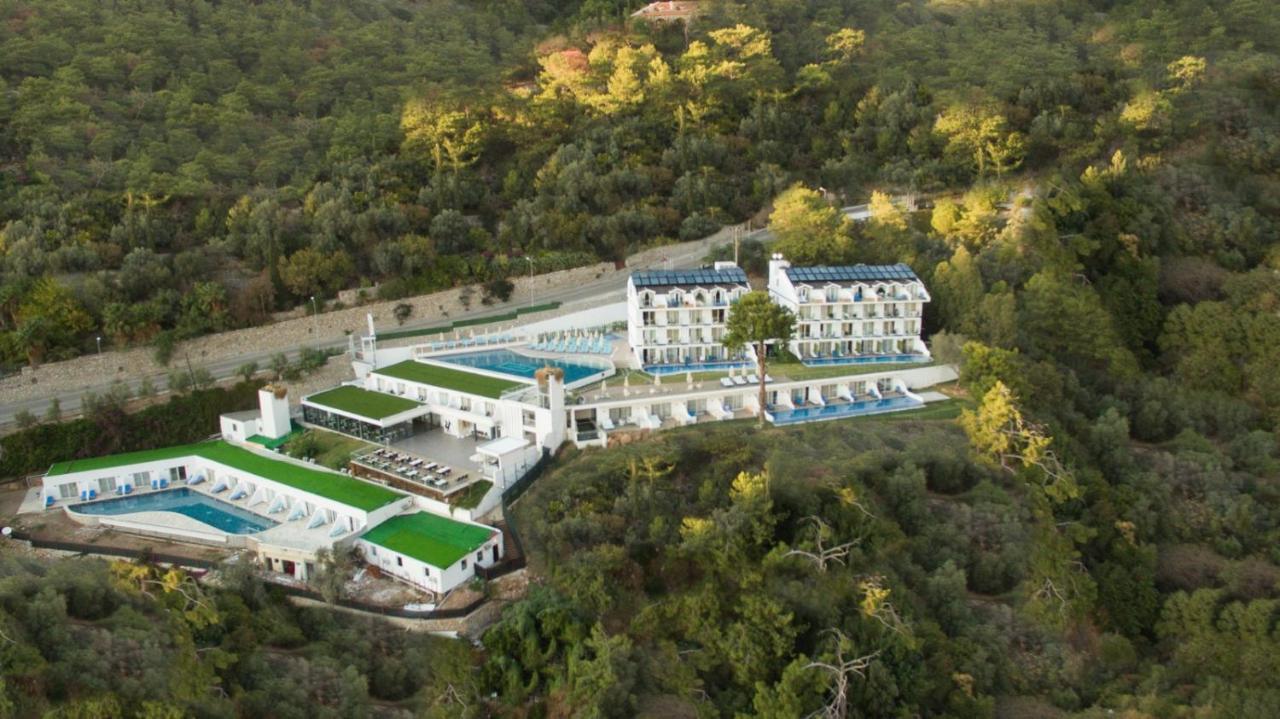 Sertil Royal Forest Hotel Ölüdeniz Exterior foto